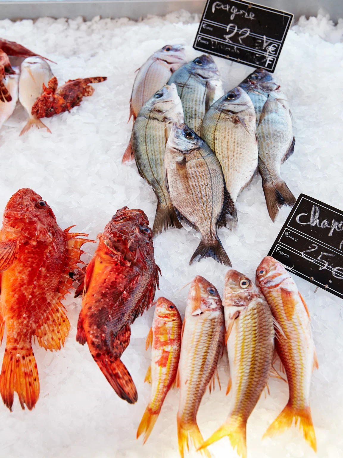 bouillabaisse_9616.jpg
