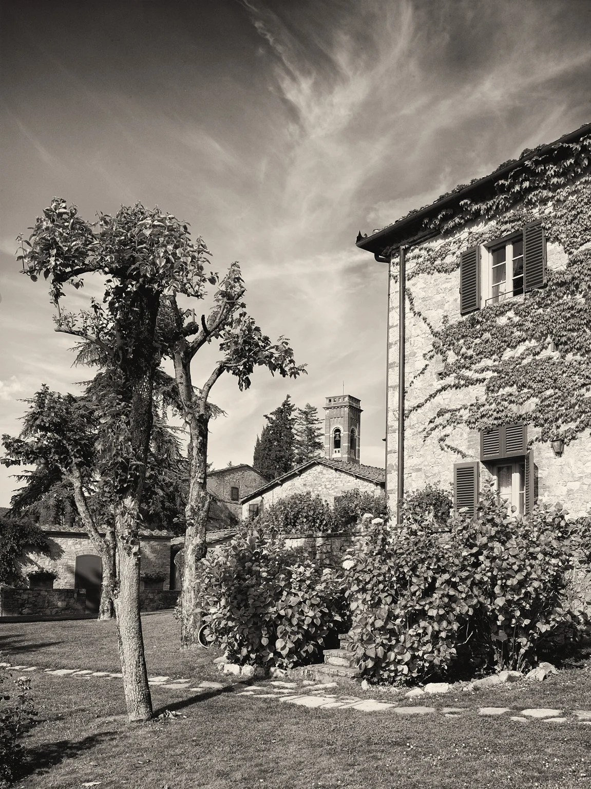 san_felice_B_0042.jpg