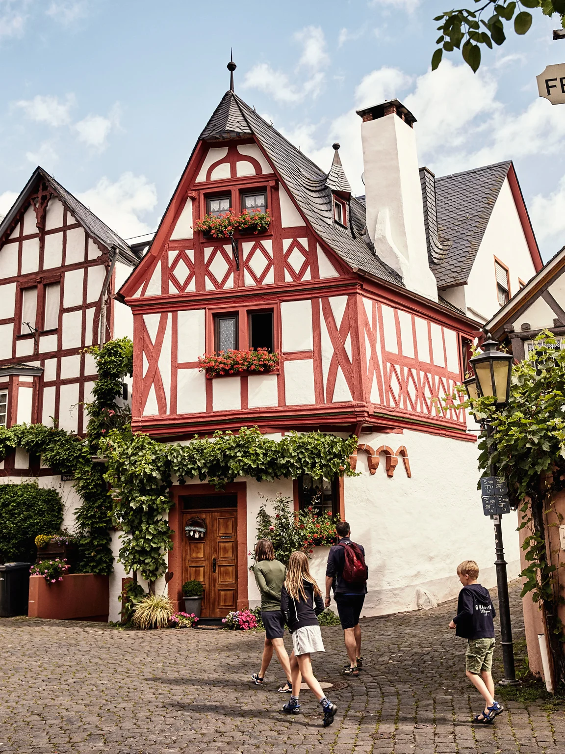 Mosel_4606_1.jpg