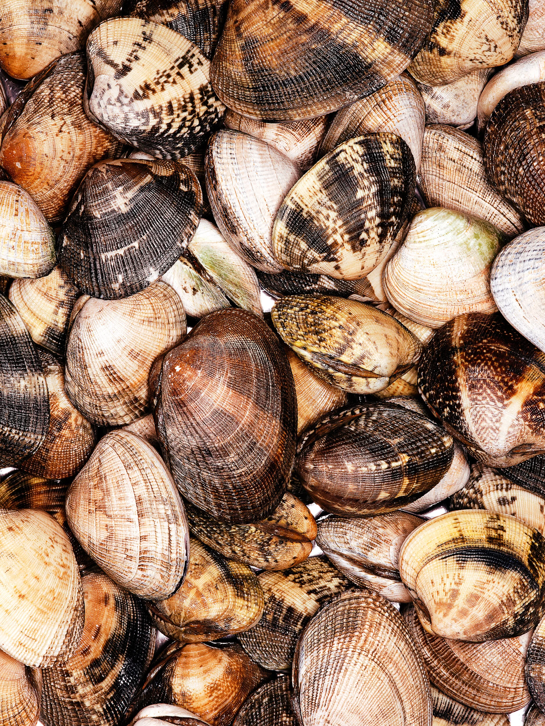 Vongole_Raw.jpg