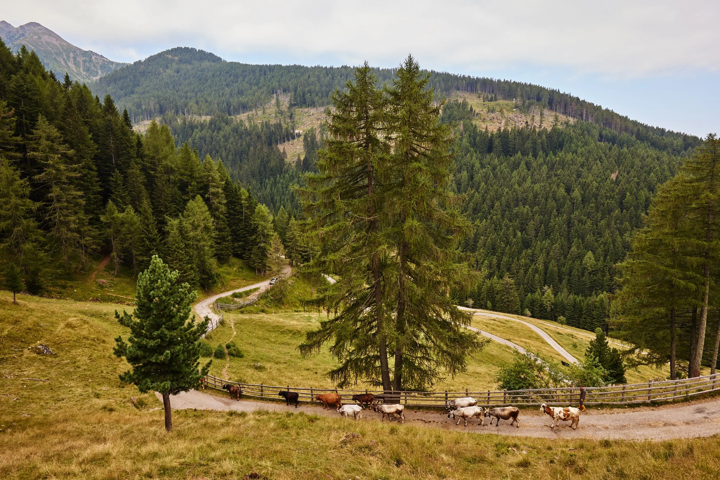 Trentino_07_20221008_77.jpg