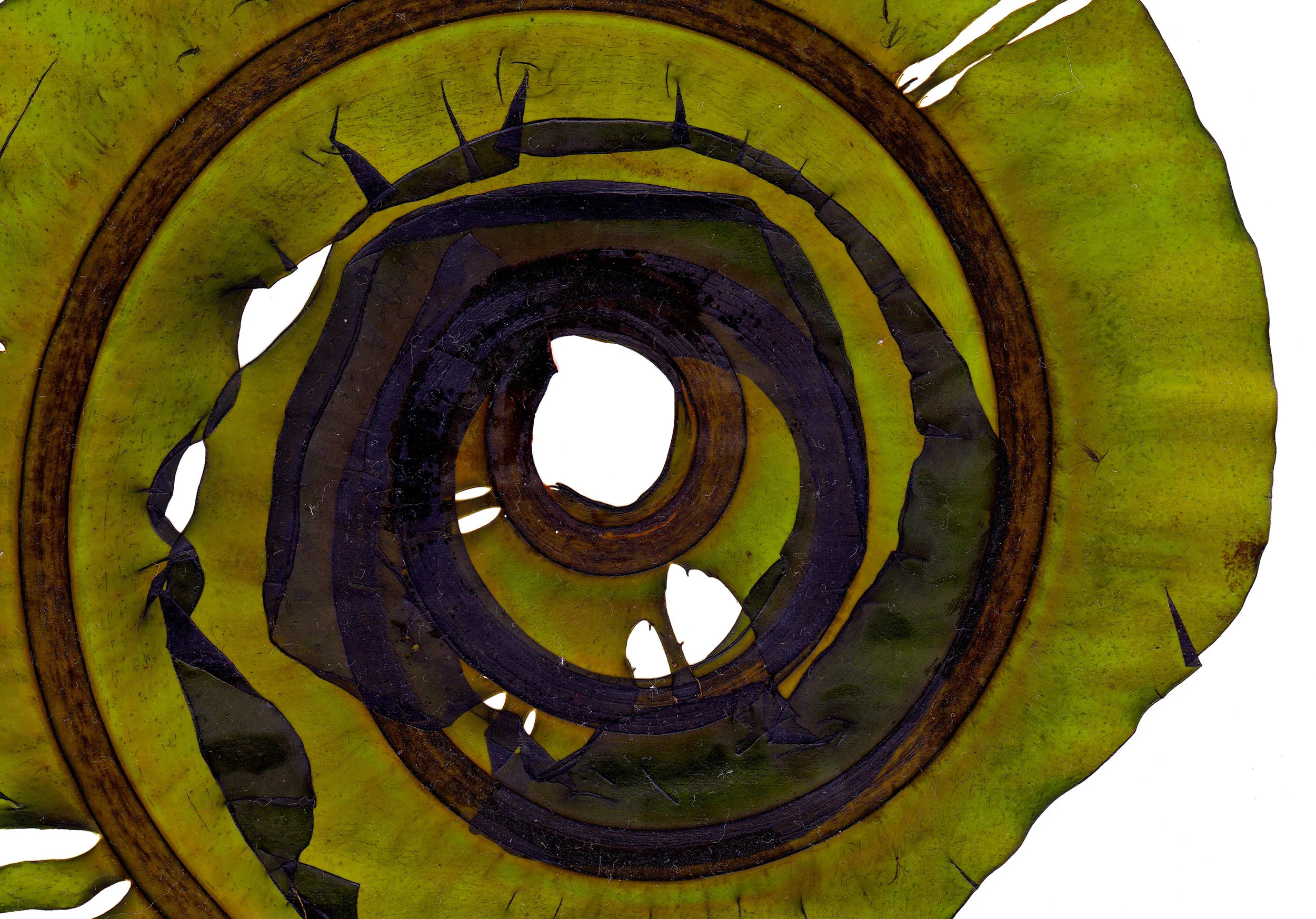 Circle.jpg