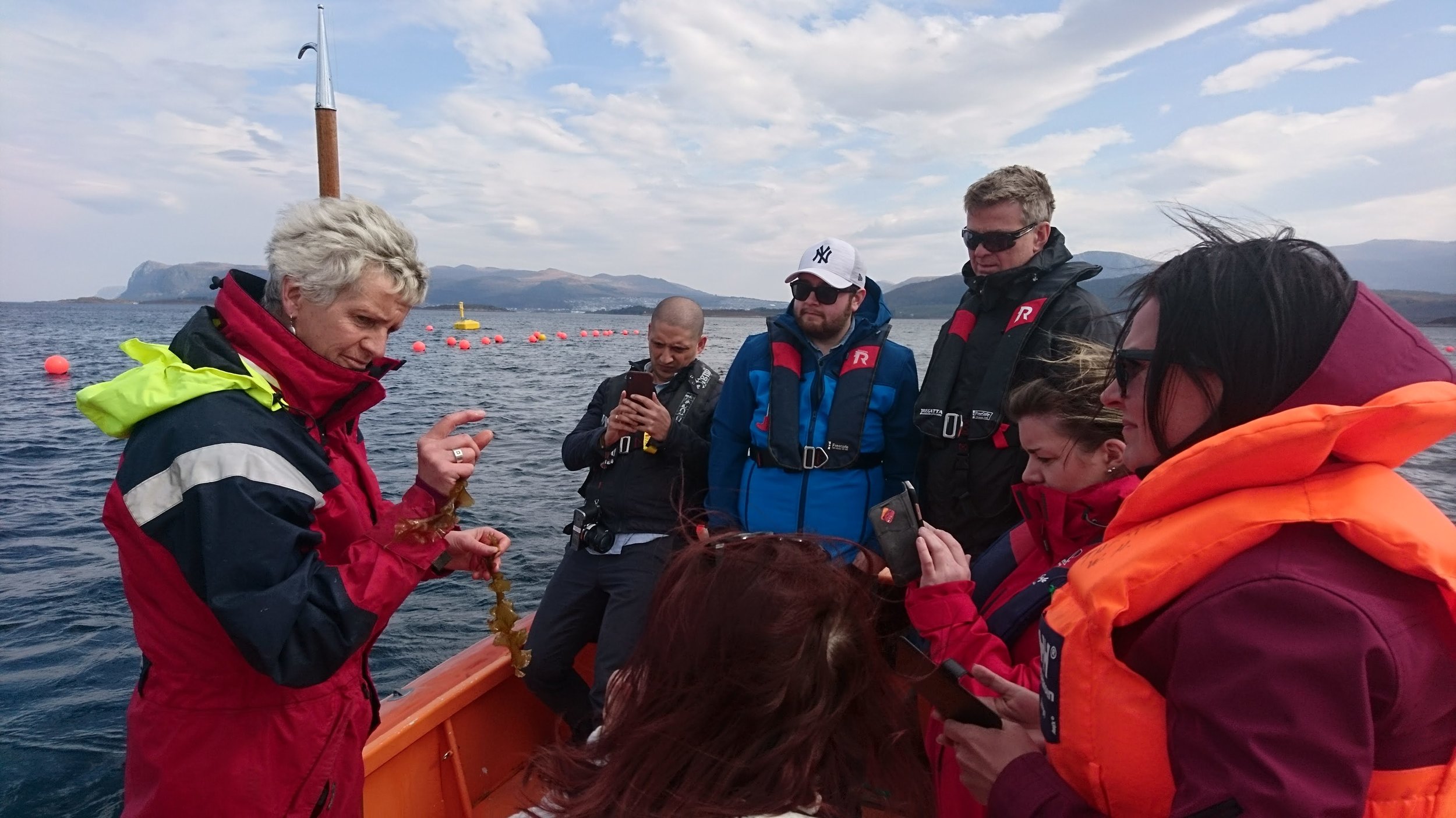 The story of our seaweed babies (©Lovise Otterlei)