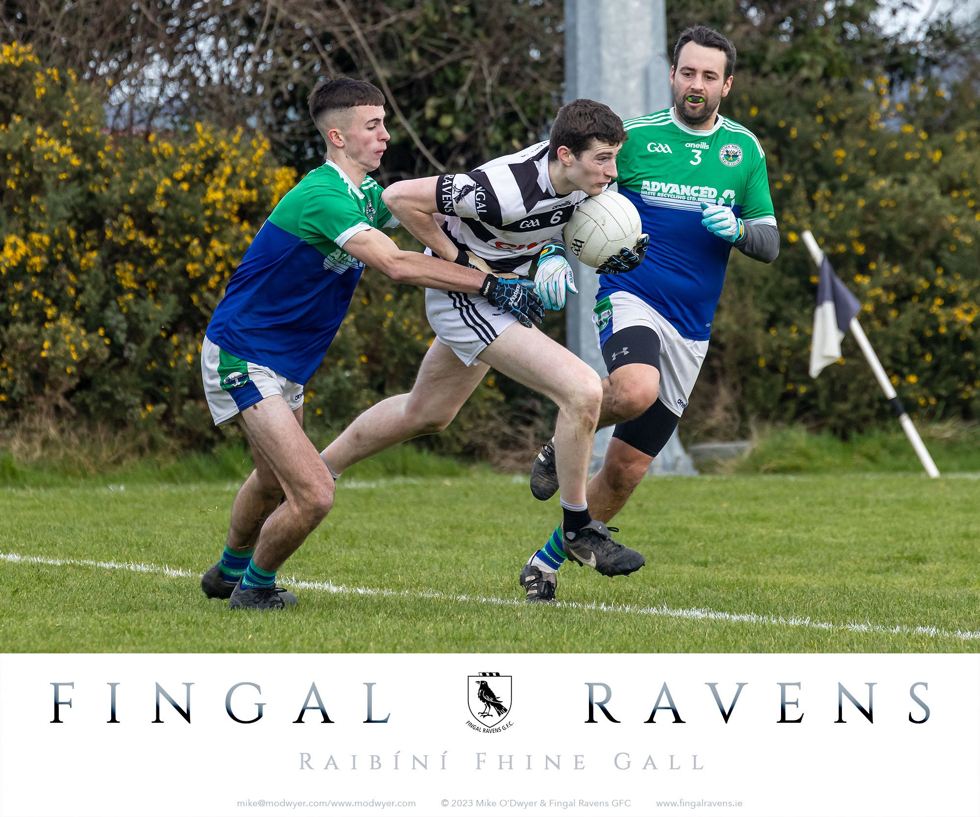 040-20230305-fingalravensstmarys.jpg