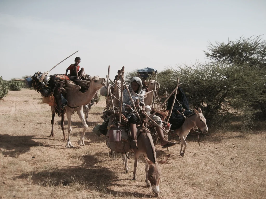 toco-lenzi-expedica-viagem-palestra-saara-cultura-mauritania-populacao-pais.jpg