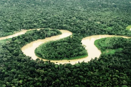 toco-lenzi-expedicao-viagem-palestra-vale-javari-amazonas-sydney-possuelo-grupos-indigenas.jpg