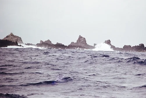 toco-lenzi-expedicao-viagem-expedicao-travessia-atlantico-escuna-valor.jpg