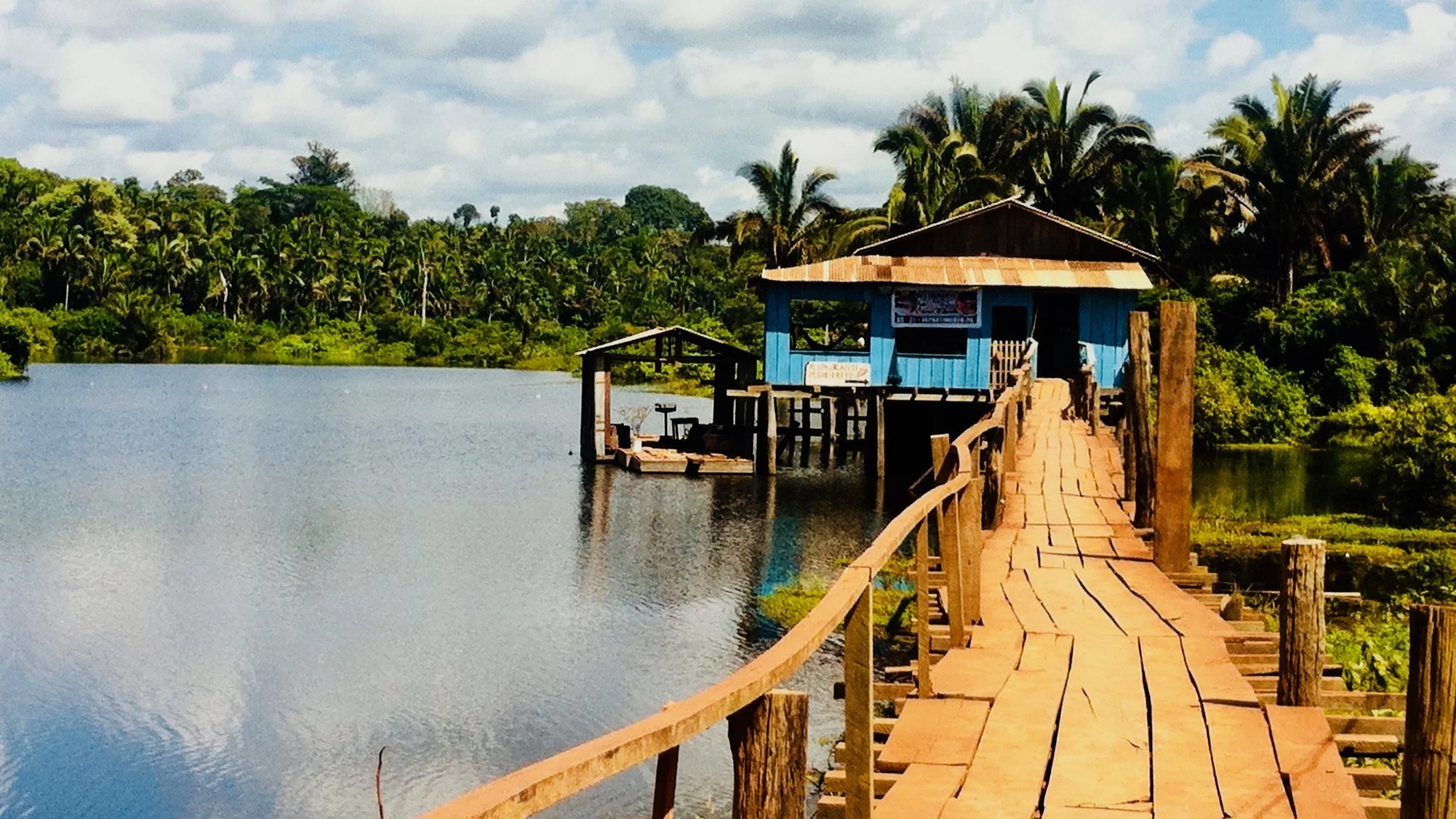 toco-lenzi-expedicao-viagem-amazonica-animais.jpg