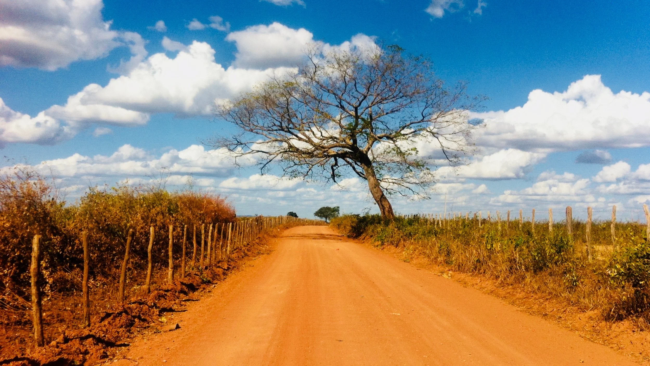 toco-lenzi-expedicao-viagem-BR-230-amazonas-estrada.jpg