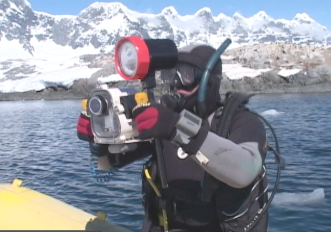 Mergulhando na Antártica para documentar a foca leopardo. foto Lawrence Whaba.