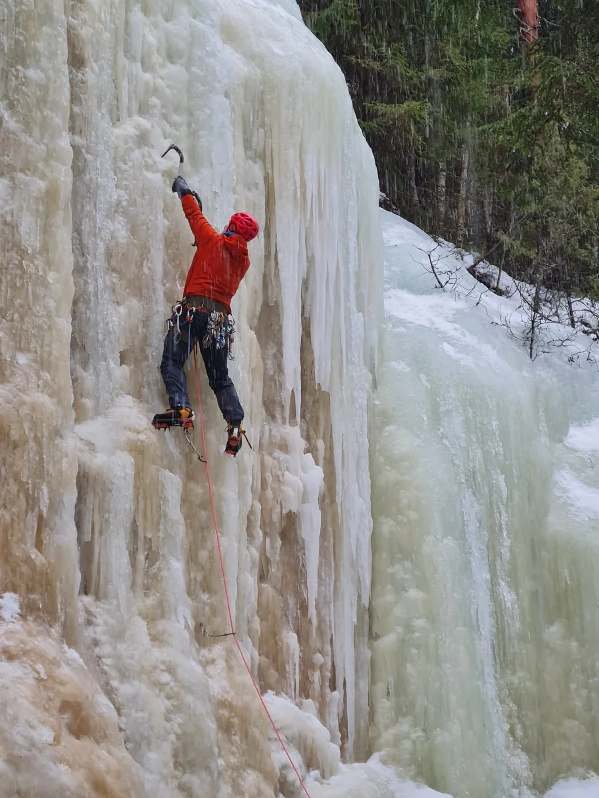 WhatsApp Image 2026-03-18 at 21.23.55 (4).jpeg