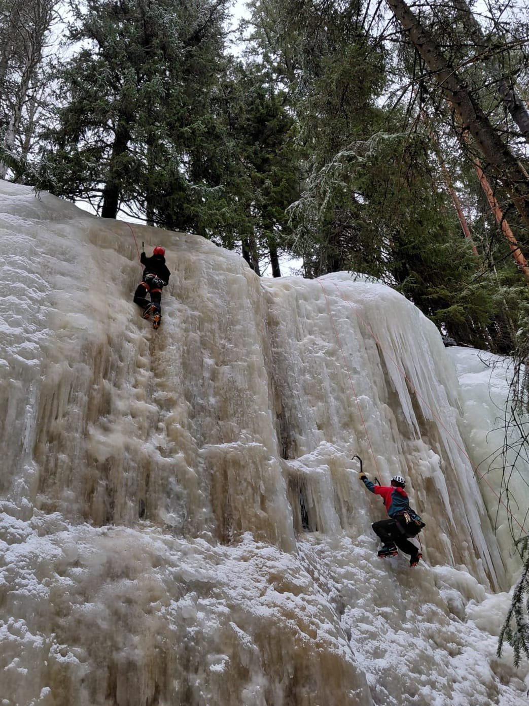 WhatsApp Image 2026-03-18 at 21.23.55 (3).jpeg