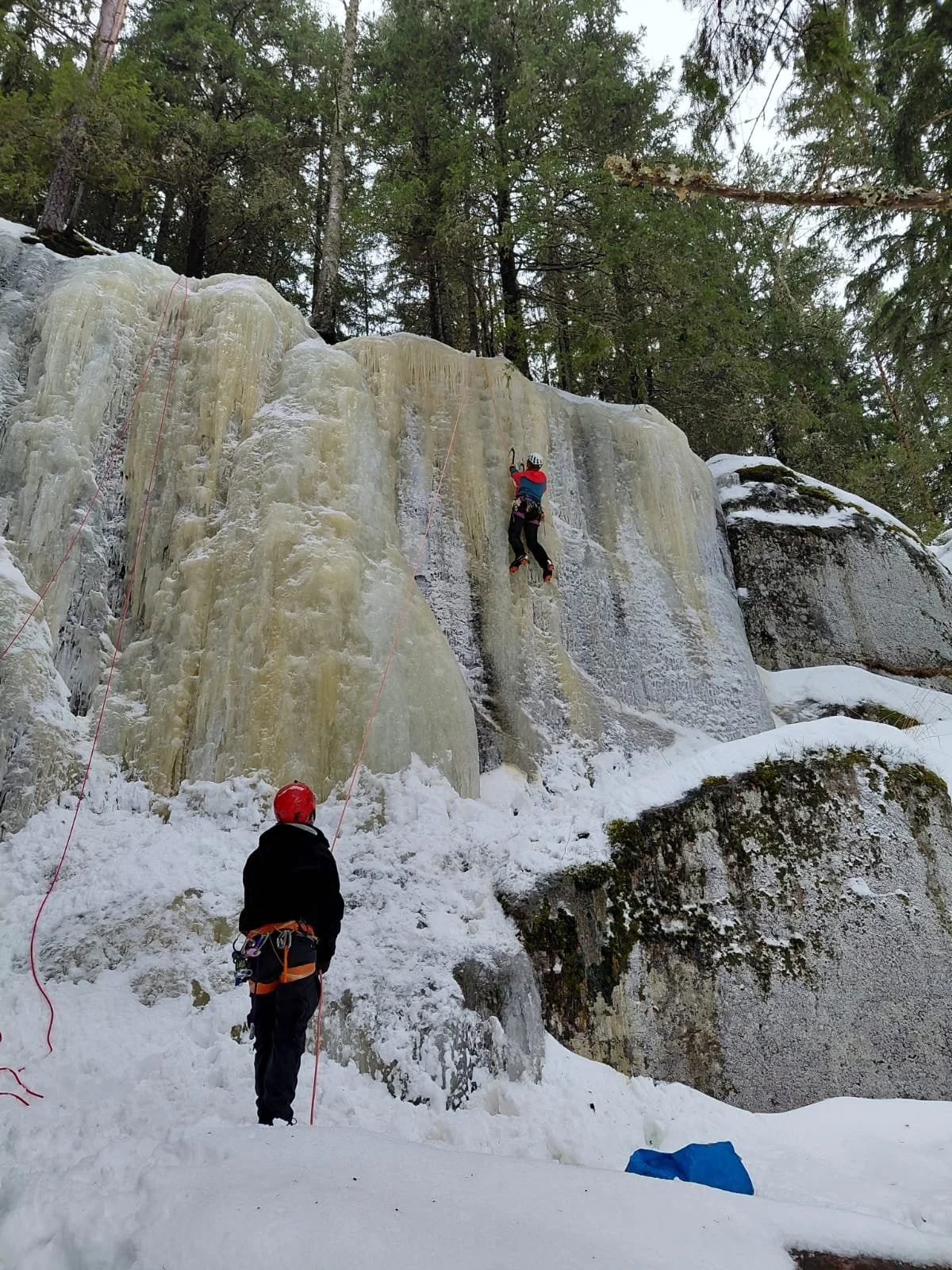 WhatsApp Image 2026-03-18 at 21.23.55.jpeg