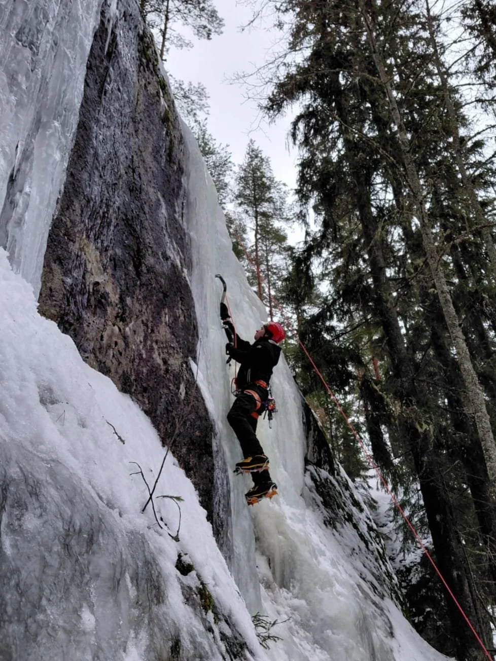 WhatsApp Image 2026-03-18 at 21.23.54 (4).jpeg