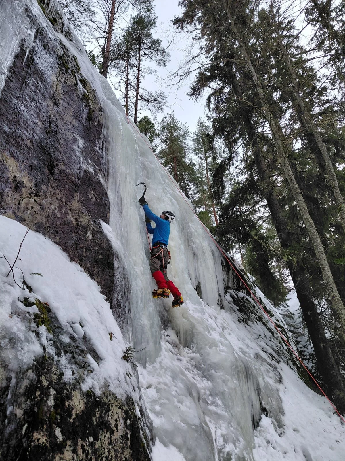 WhatsApp Image 2026-03-18 at 21.23.54 (1).jpeg