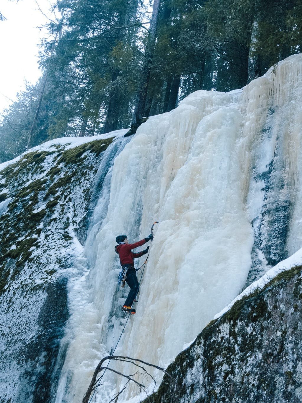 WhatsApp Image 2026-03-18 at 21.23.53 (2).jpeg