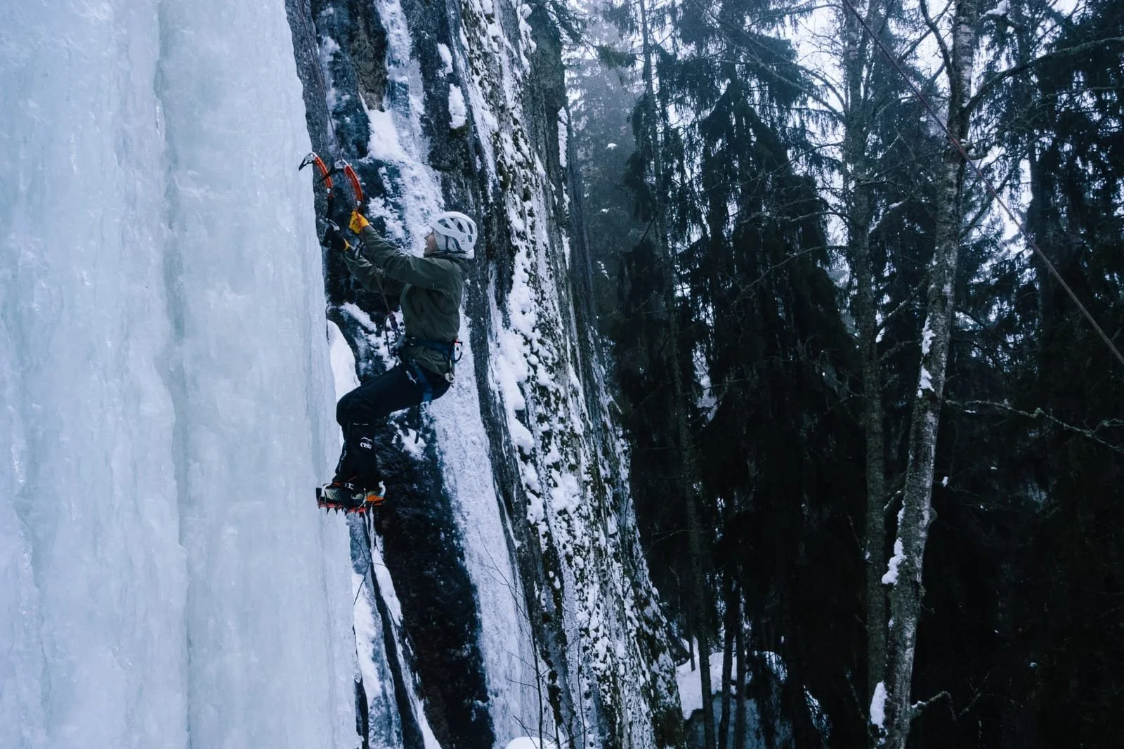 WhatsApp Image 2026-03-18 at 21.23.53 (1).jpeg