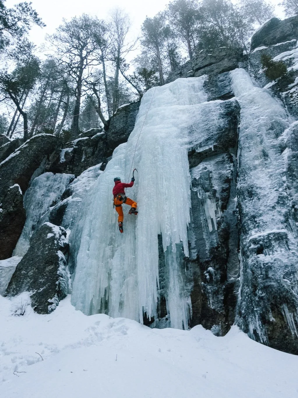 WhatsApp Image 2026-03-18 at 21.23.53.jpeg