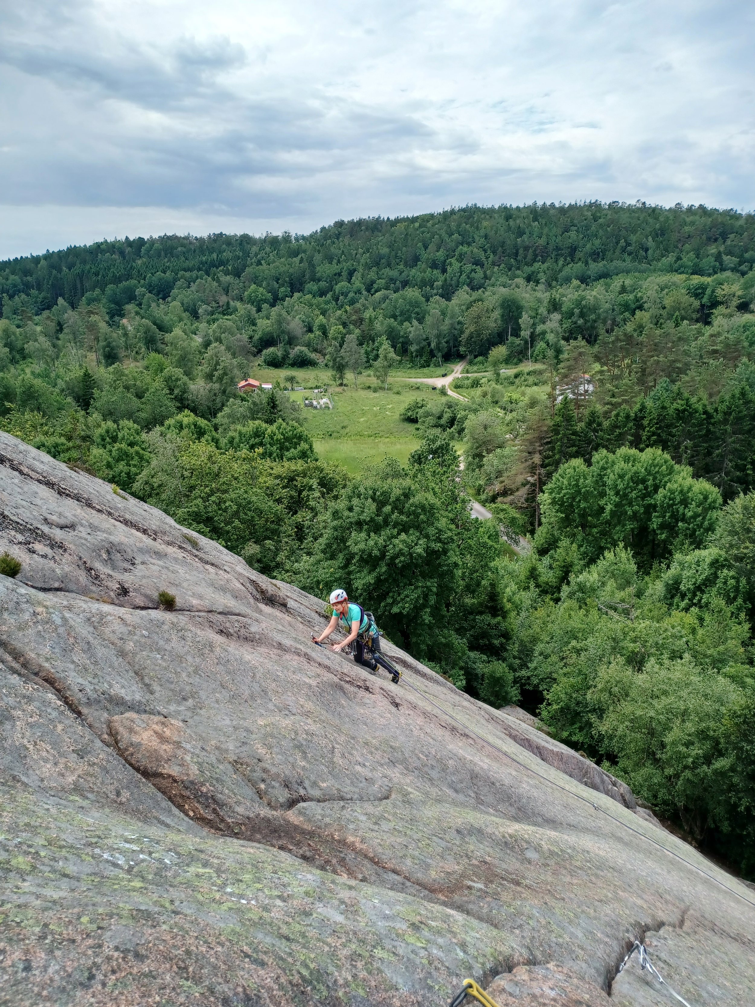 Ävja 20260628_115947.jpg