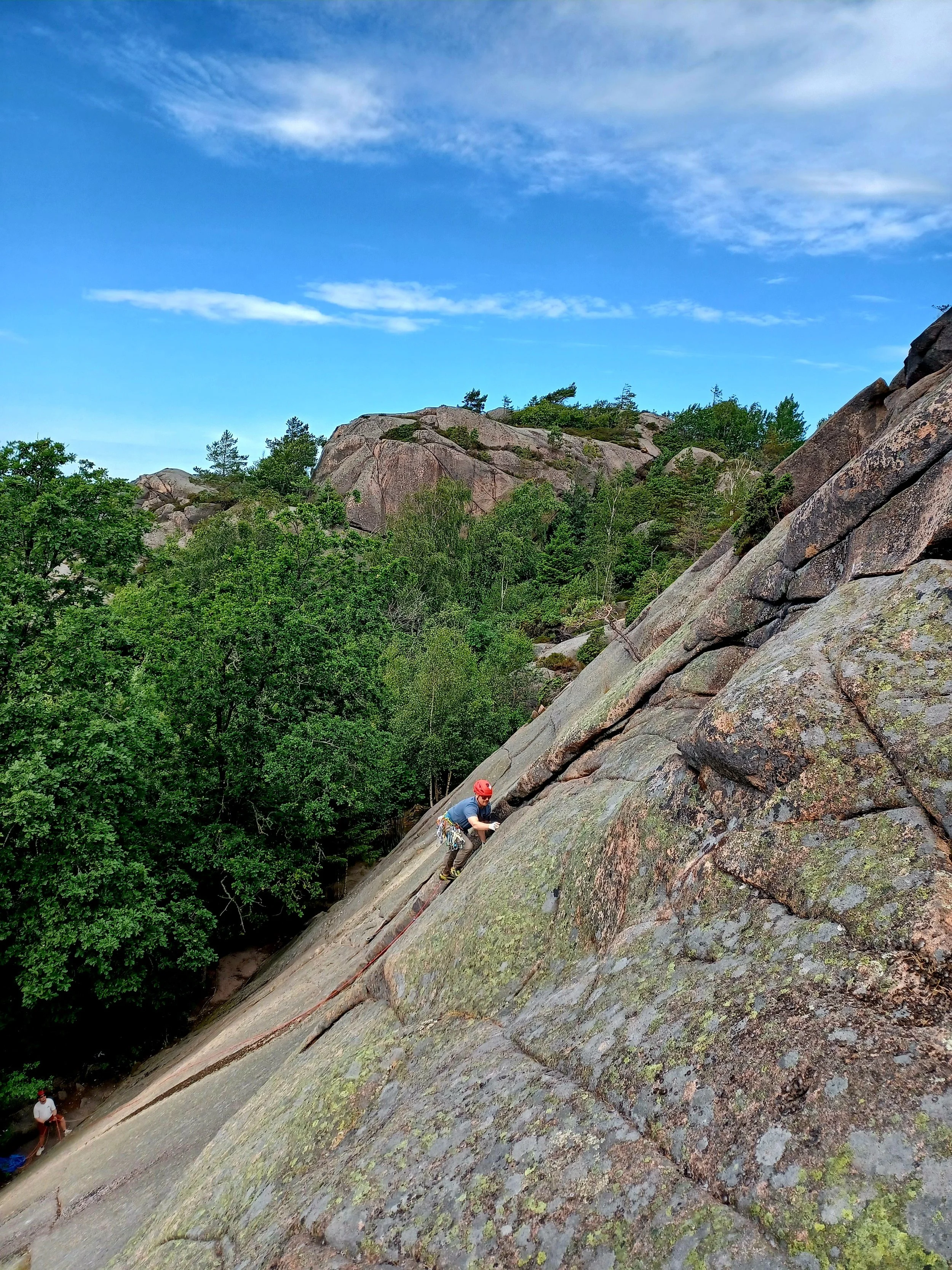 Ävja 20260629_001850.jpg