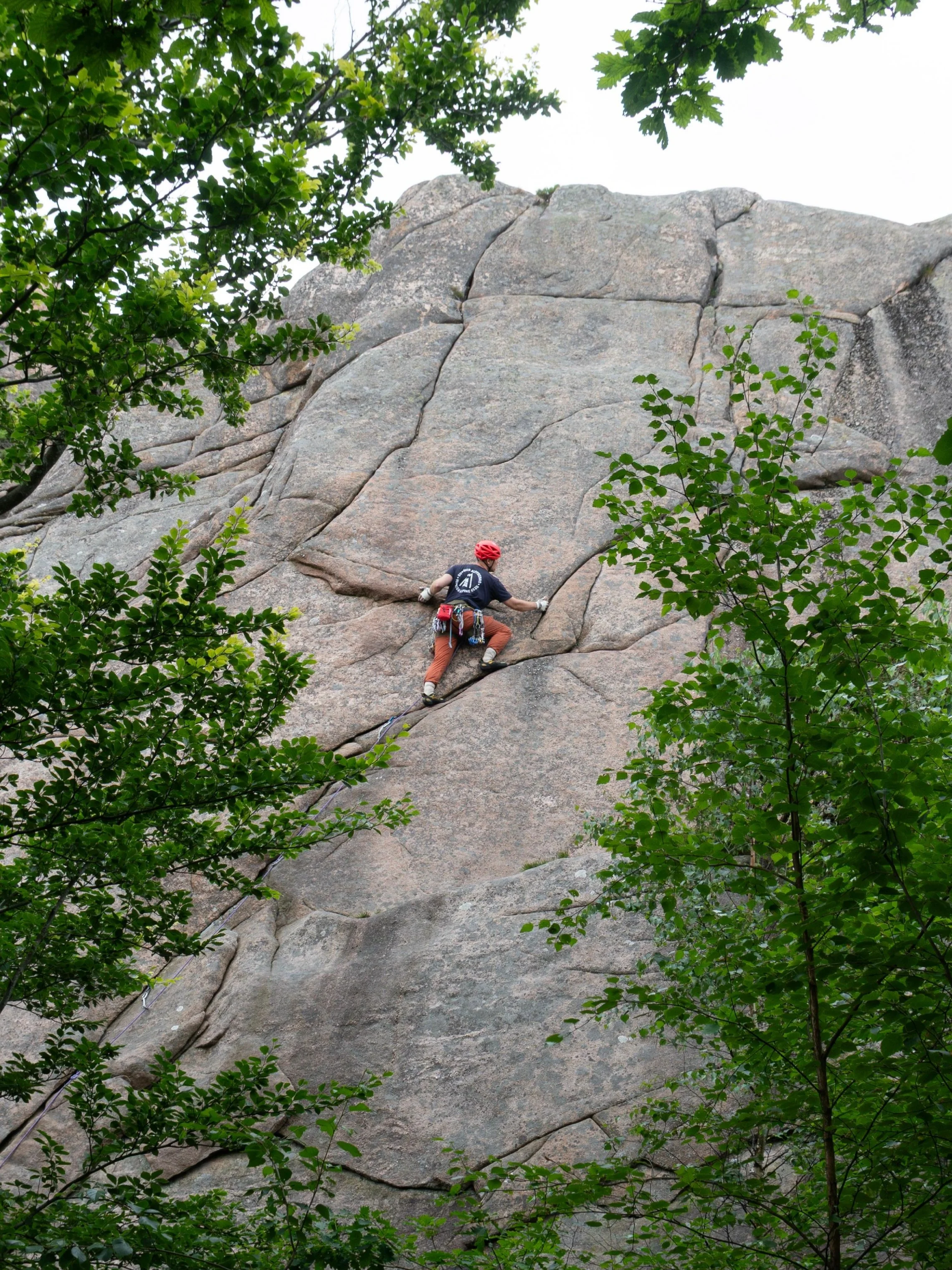 Ävja IMG-20260630-WA0044.jpg