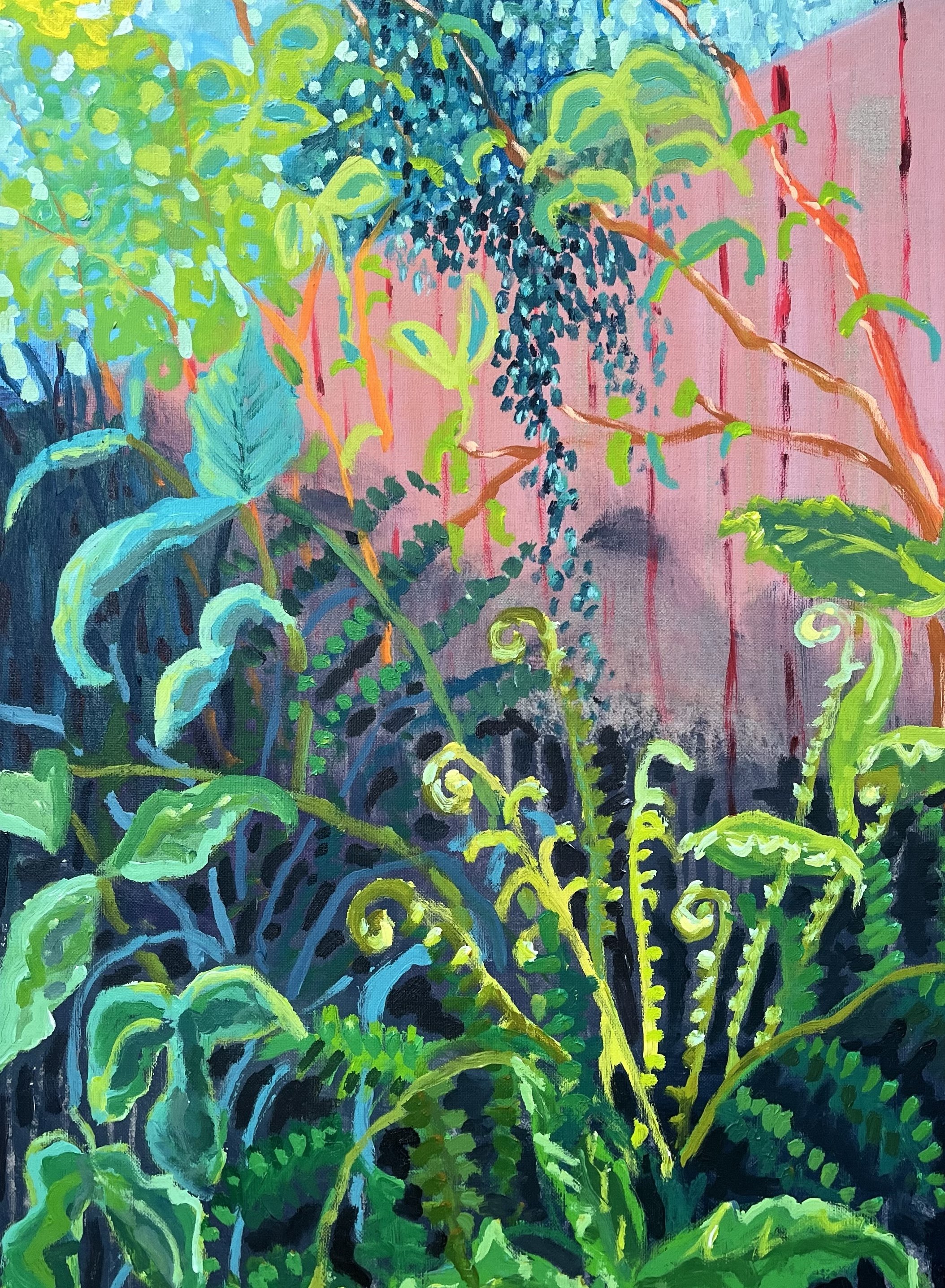 New_Fern_In_Dartlands 2.jpg