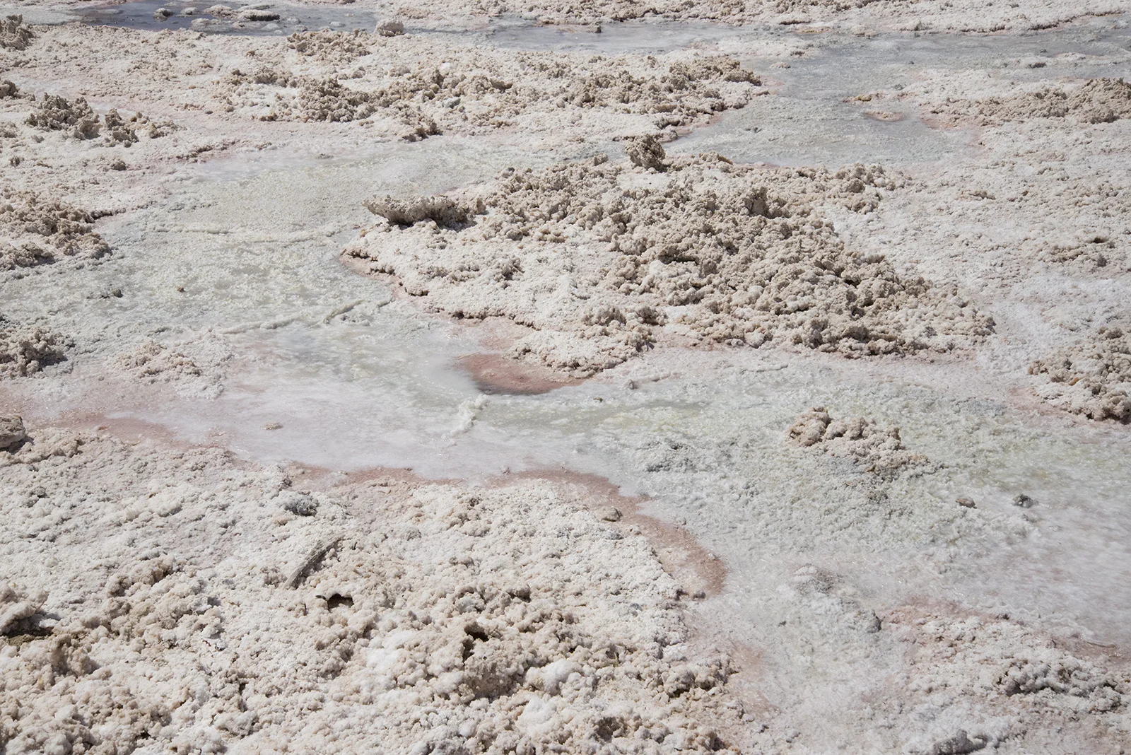 In the salar in the Atacama Desert, where all sorts of colors are found near the salt and the mining operations.