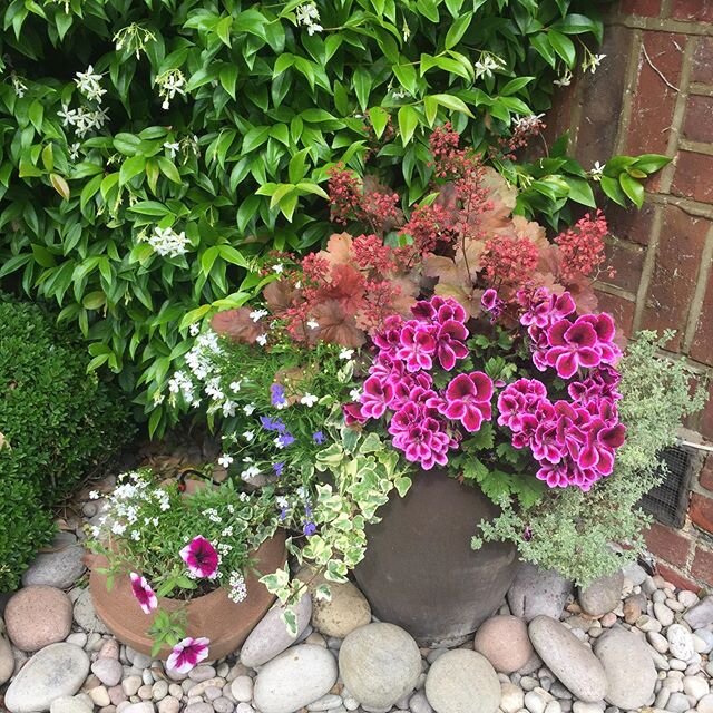 The &ldquo;look at me now&rdquo; photos! Happened to visit one of my regular clients who had a new pot she wanted filling. Can&rsquo;t believe how much these pots have exploded 😊🌸🧚&zwj;♀️#bespoke #bespoke planting @flowerpotfairy