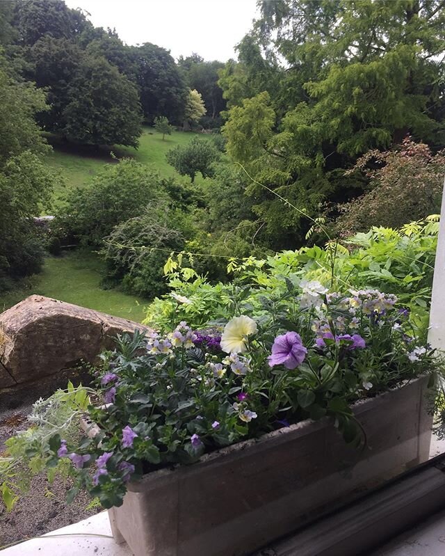 And a refreshed window box for the bedroom #seeingmymum