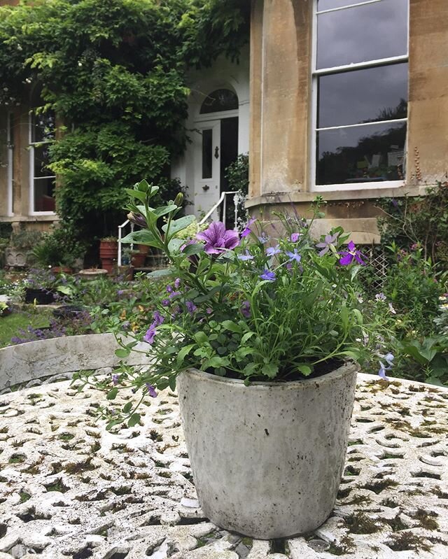 Mummy&rsquo;s new garden pot in position @flowerpotfairy #giftpot