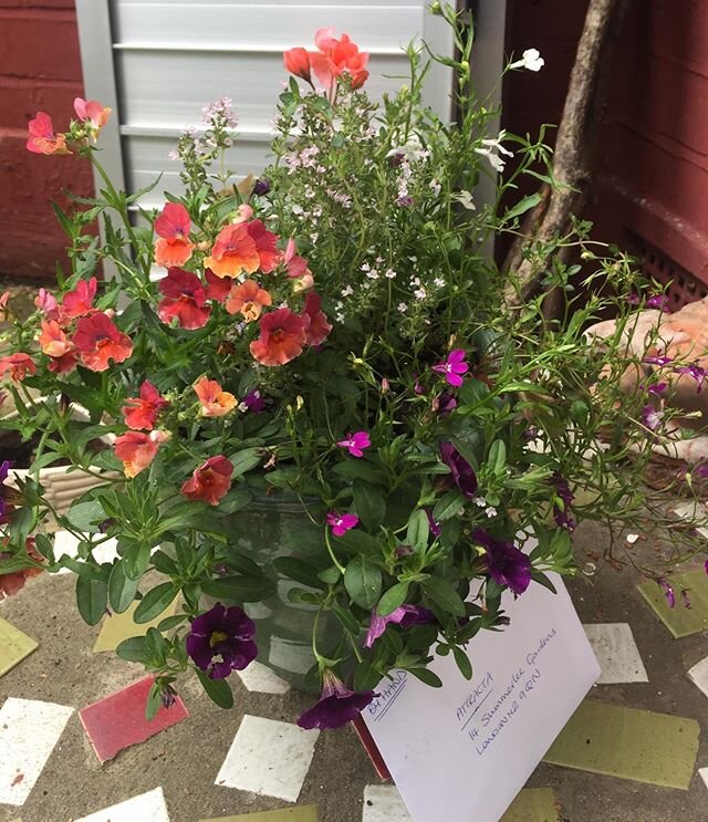 Surprise Birthday pot delivery @flowerpotfairy