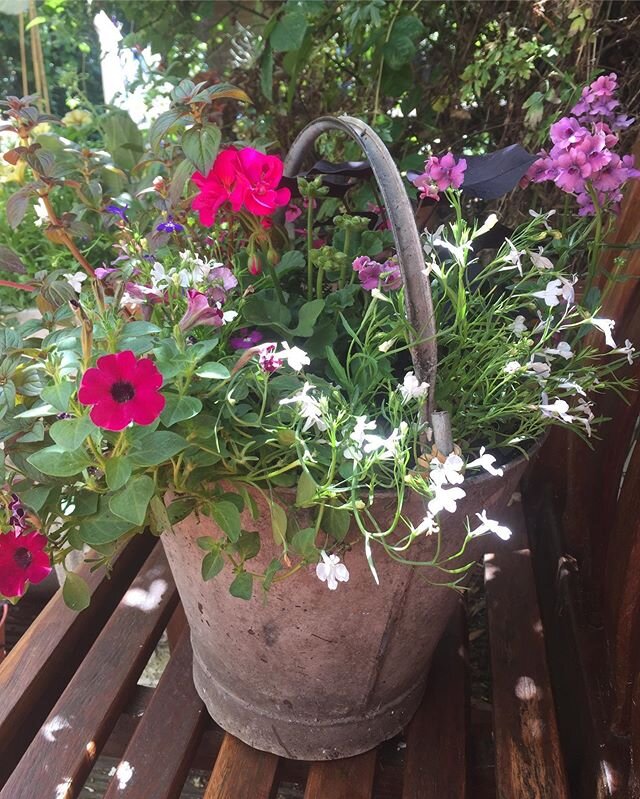 The bucket planter @flowerpotfairy #bespoke #vintageplanter