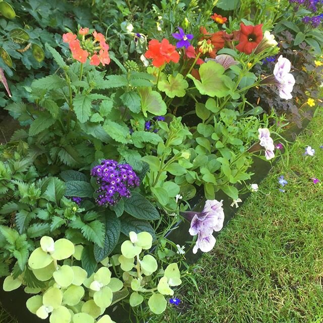 The showstopper! 1x 120cm long trough planter @flowerpotfairy #bespoke #bespokeplanting