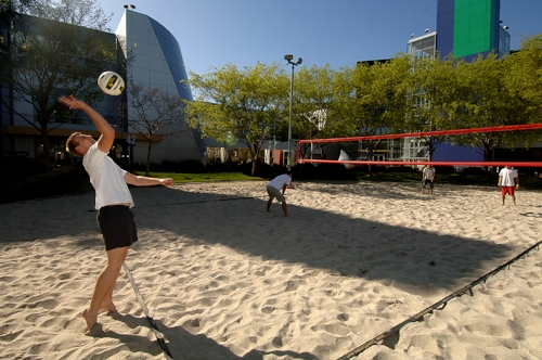 Google employees enjoying a game of volleyball at on Thurs afternoon.