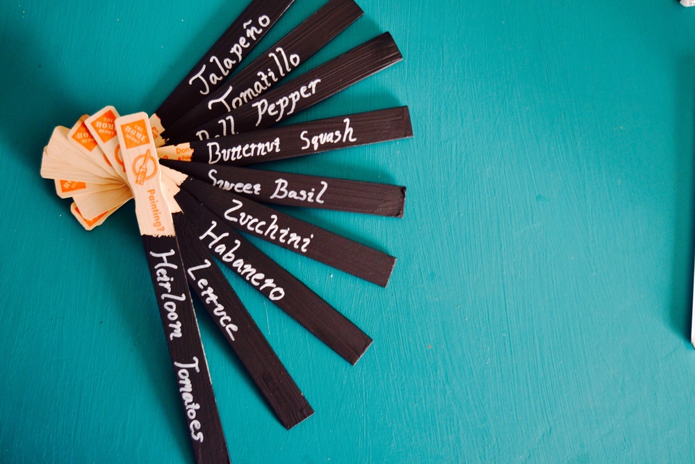 i made these lovely garden markers by dipping some paint stirrer things in paint, then writing on them with permanent chalk marker. 