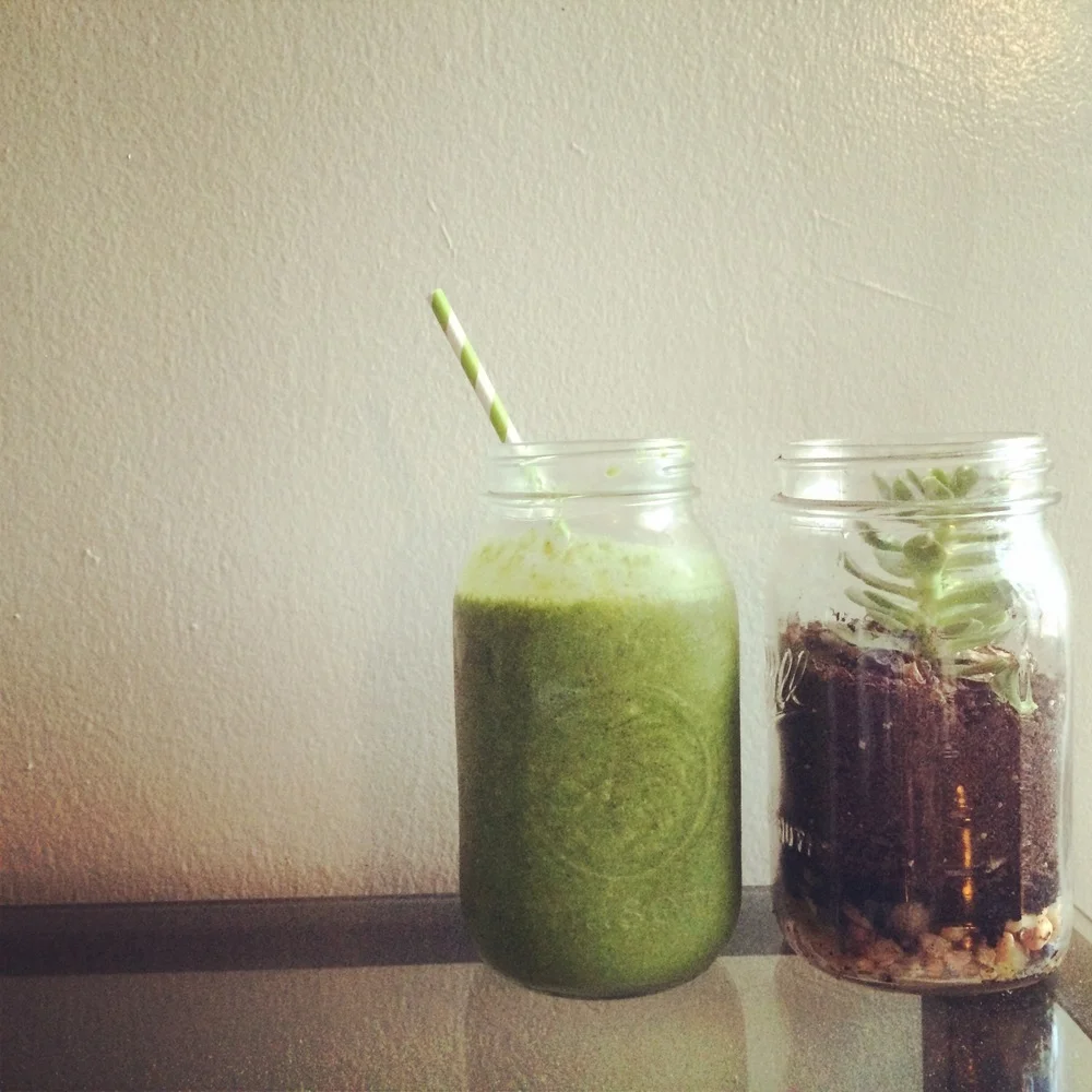 Mmm green smoothies and green succulents