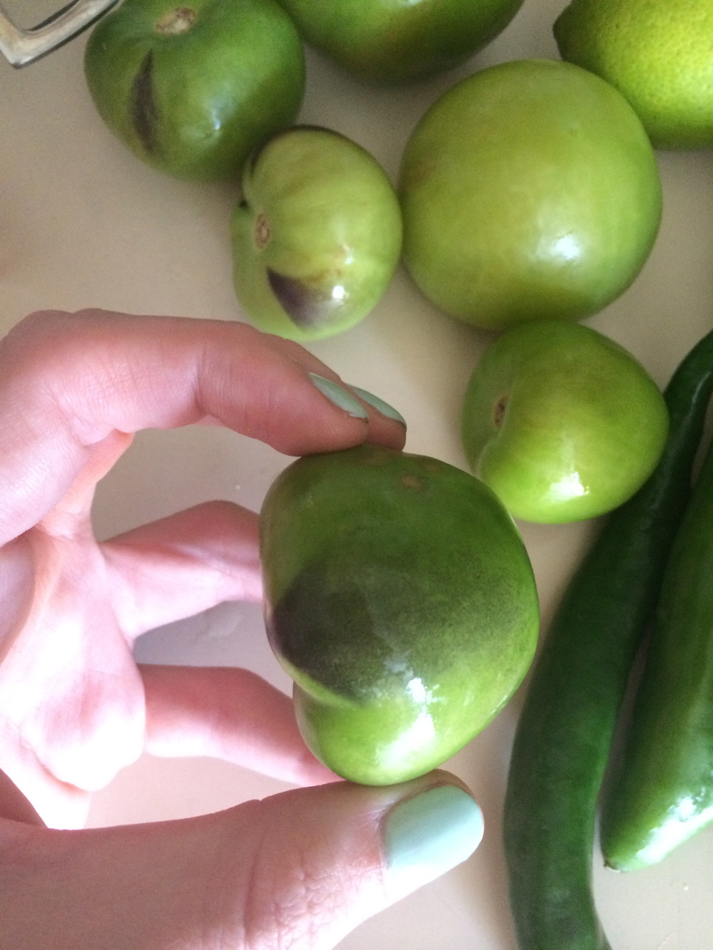 Choose these purple spotted tomatillos for the best flavor