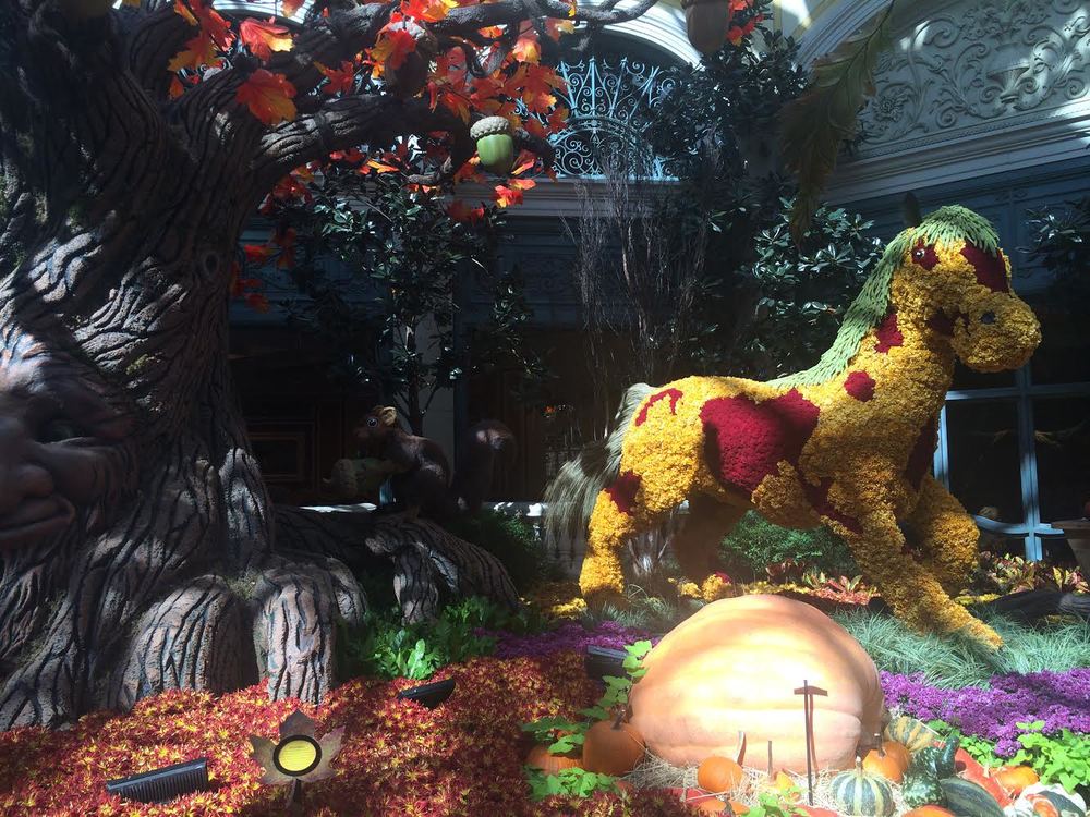 This fall display at the Bellagio was amazing. 