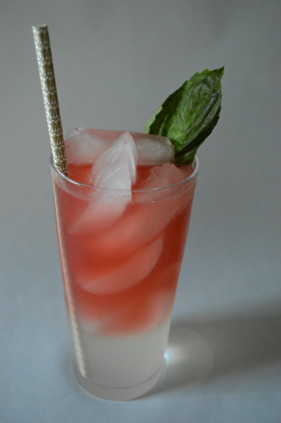 Paleoish Kombucha Gin Ricky