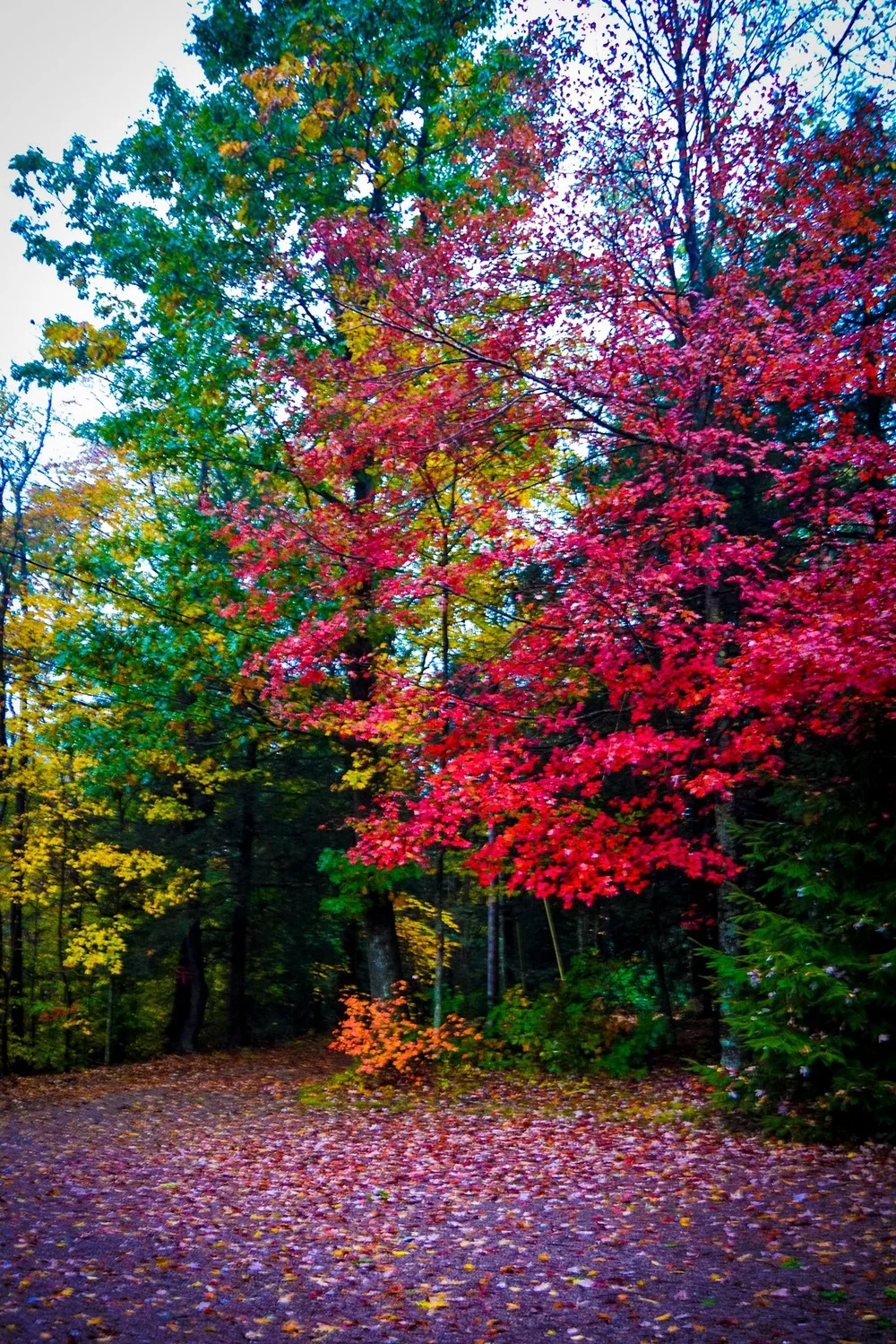 Western Pennsylvania
