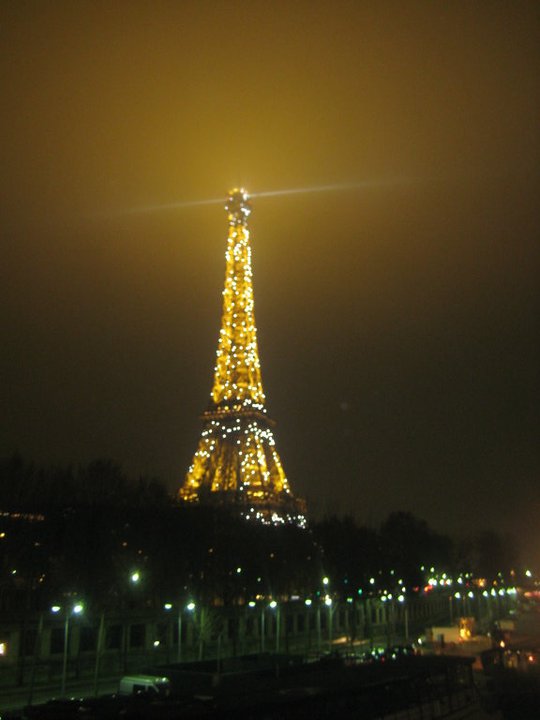 Paris, taken from my iPhone on NYE 2010