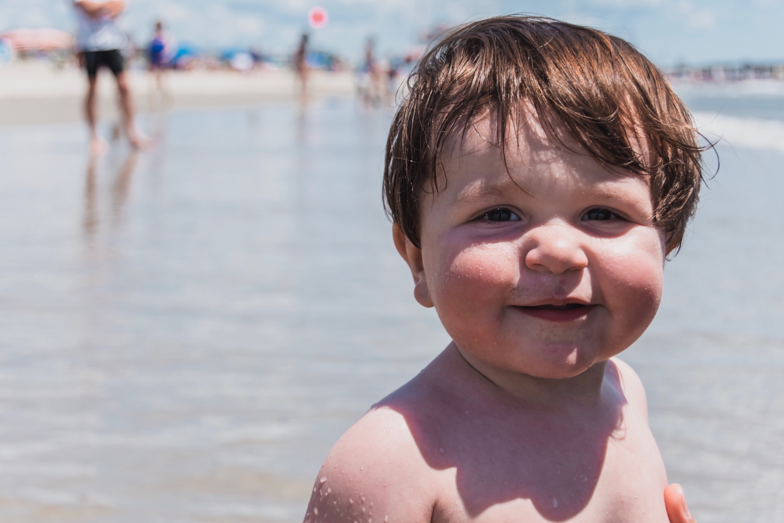 Teddy enjoying his first beach trip ever in OCNJ