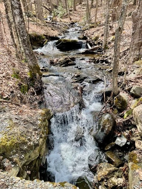 An Early Spring Update...