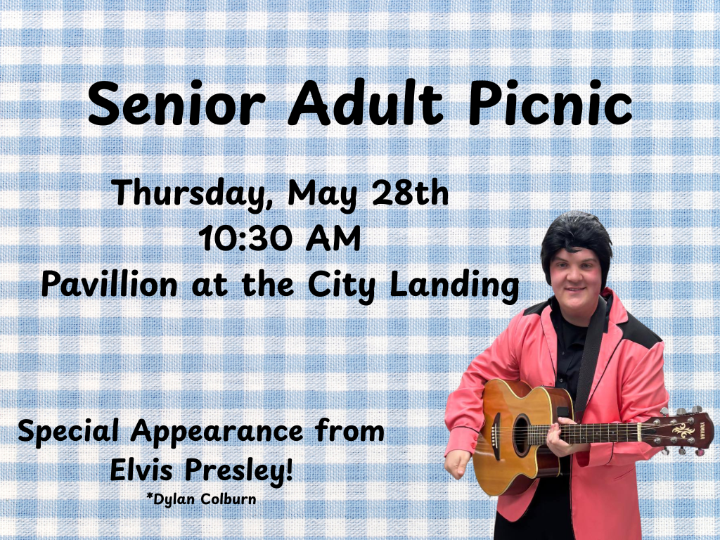 Senior Adult Picnic