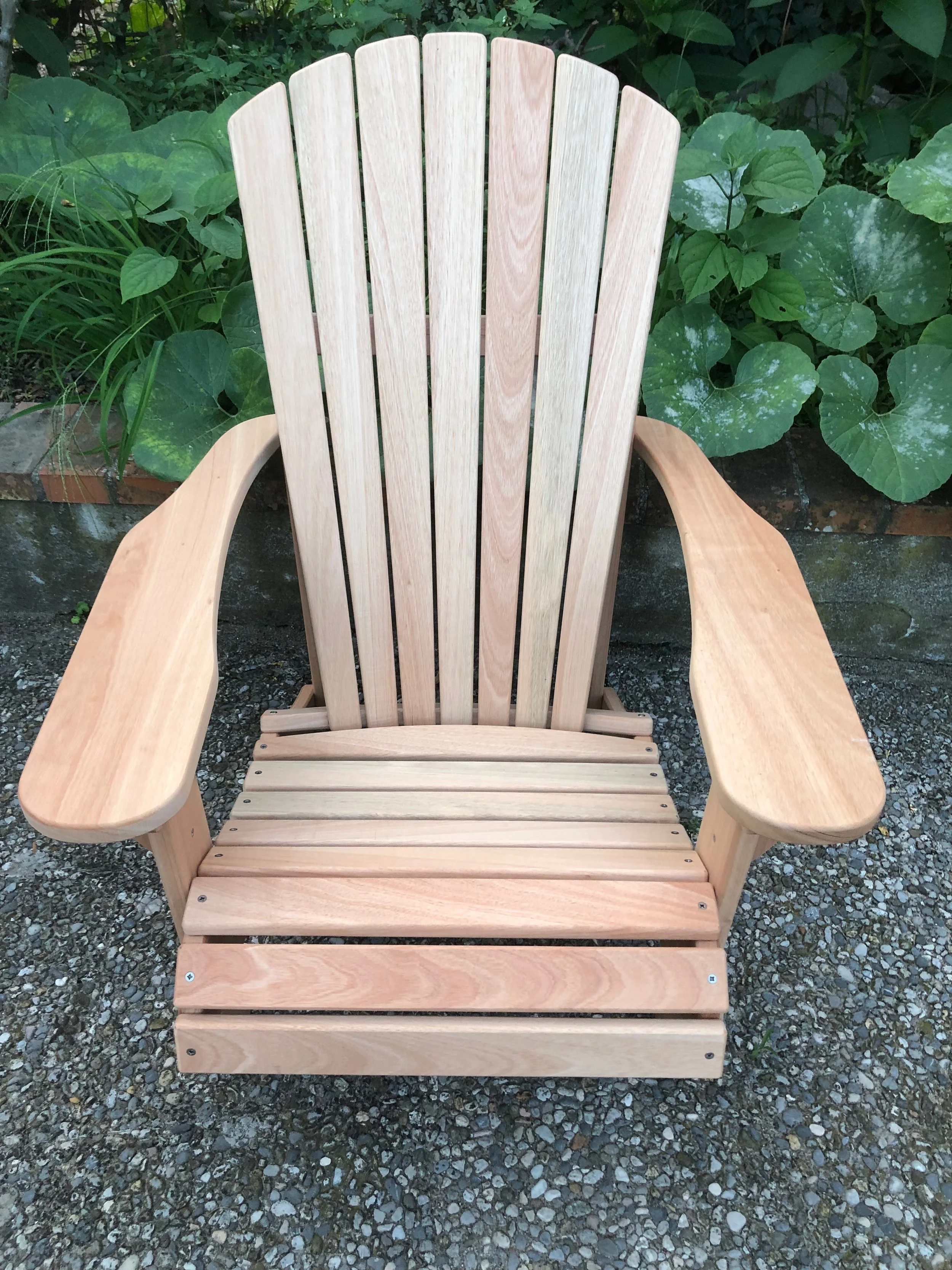 Classic natural Eucalyptus.jpeg