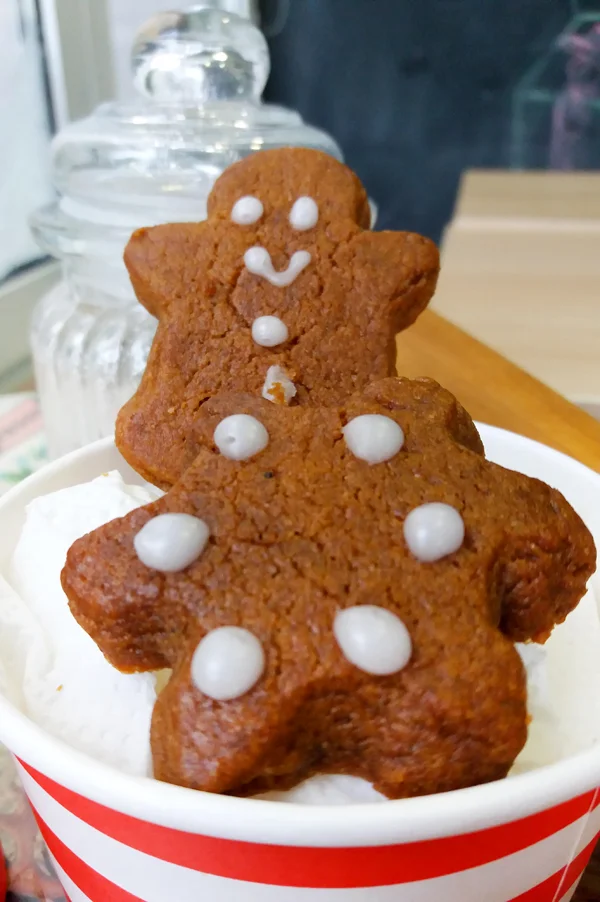 20171228_133115 copy.JPG