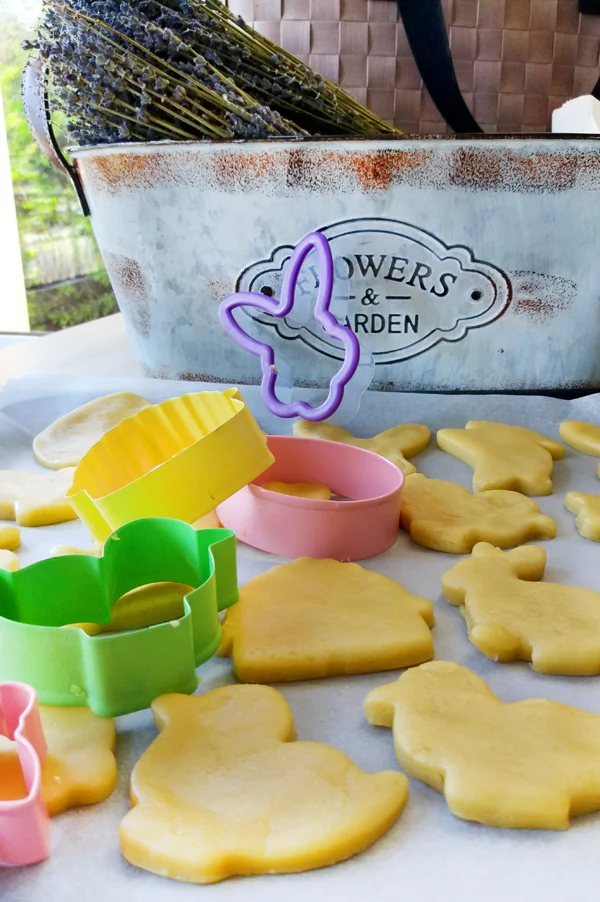 20170410_114328 copy.JPG