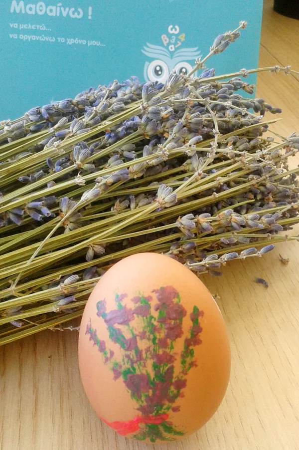 foto samsung 1230 copy.JPG