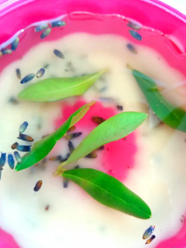 20170712_152002 copy.JPG