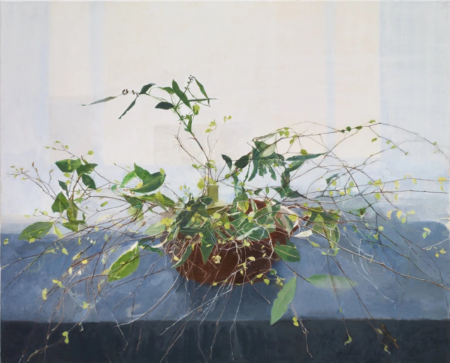 </strong><em>Border</em> 2016<br/> oil on canvas<br/>86 x 107cm<strong>